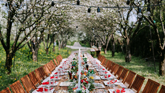 Feestelijke lange tafel