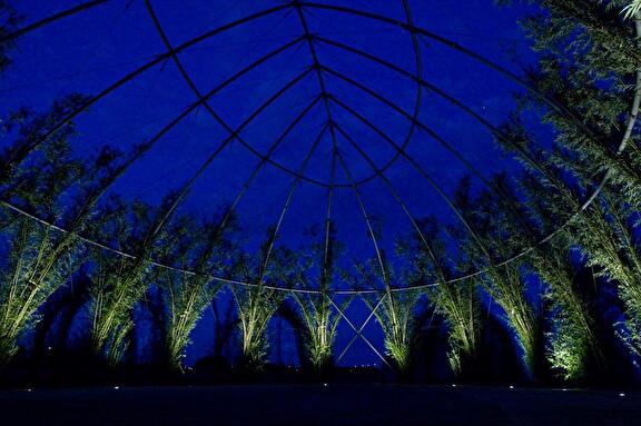 Voorvertonings afbeelding: Bastion: Groene Skybox voor bedrijven